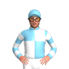 Jockey Silk