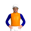 Jockey Silk