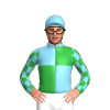 Jockey Silk
