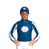 Jockey Silk