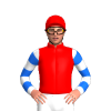 Jockey Silk
