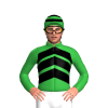 Jockey Silk