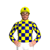 Jockey Silk