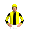 Jockey Silk