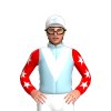 Jockey Silk