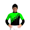 Jockey Silk