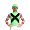 Jockey Silk