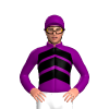 Jockey Silk