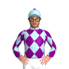 Jockey Silk