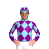 Jockey Silk