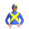 Jockey Silk