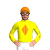 Jockey Silk