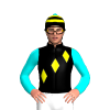 Jockey Silk