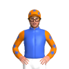 Jockey Silk