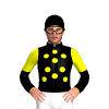 Jockey Silk