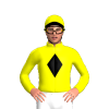 Jockey Silk