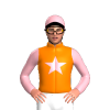 Jockey Silk