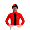 Jockey Silk