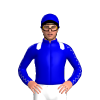 Jockey Silk