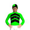 Jockey Silk