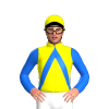 Jockey Silk