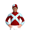 Jockey Silk