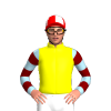 Jockey Silk