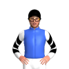 Jockey Silk