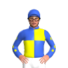 Jockey Silk