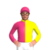 Jockey Silk