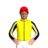 Jockey Silk