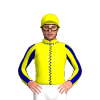 Jockey Silk