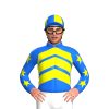 Jockey Silk