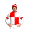 Jockey Silk