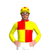 Jockey Silk