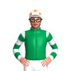 Jockey Silk