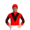 Jockey Silk