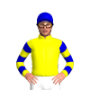 Jockey Silk