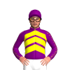 Jockey Silk