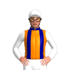 Jockey Silk