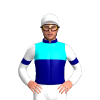 Jockey Silk