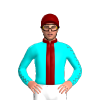 Jockey Silk