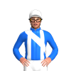 Jockey Silk