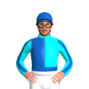 Jockey Silk