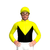 Jockey Silk