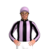 Jockey Silk