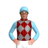 Jockey Silk