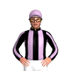 Jockey Silk