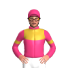 Jockey Silk