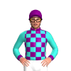 Jockey Silk